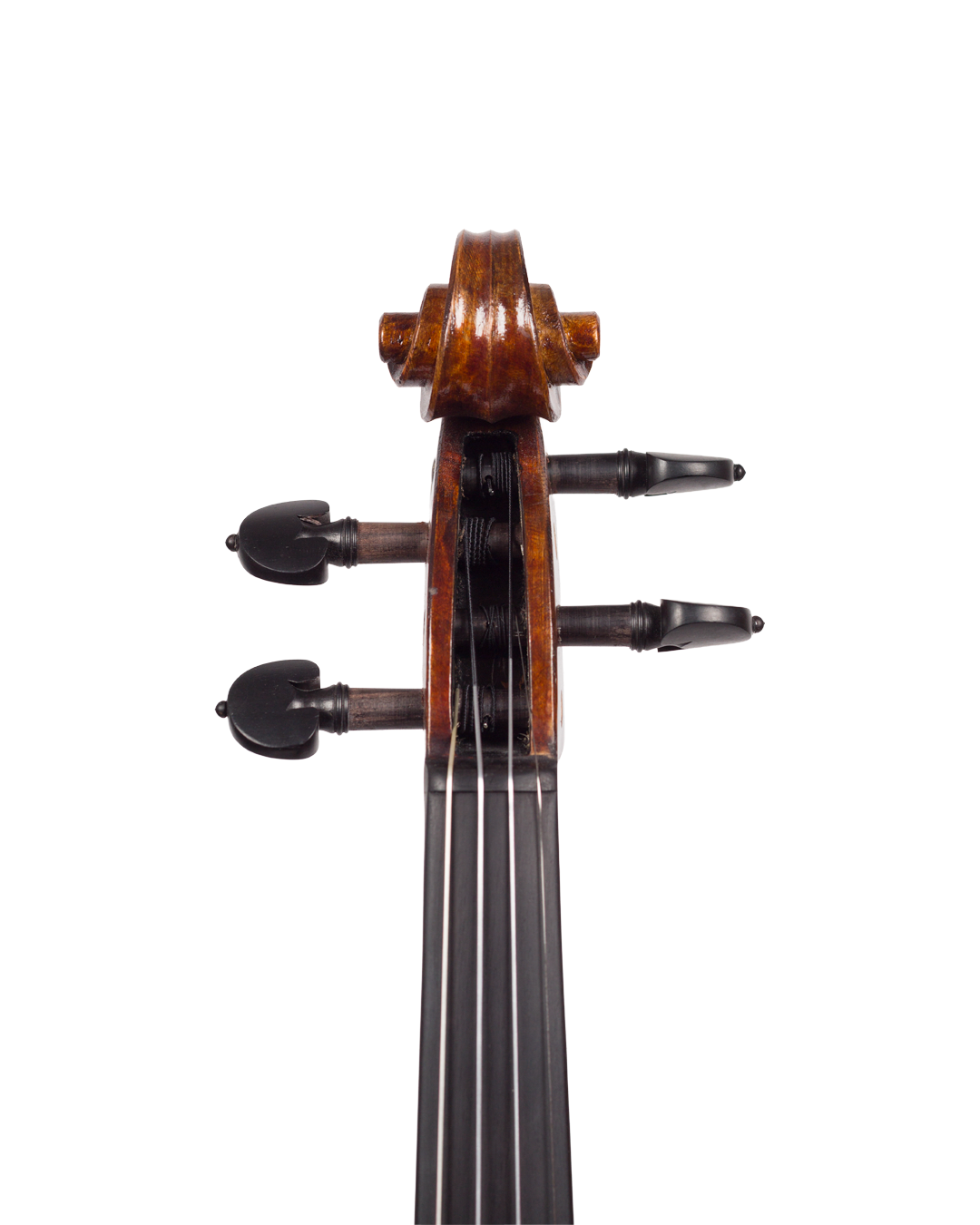 Violino feito à mão verniz à óleo, fundo inteiro